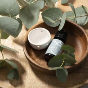 Saunum Aroma Set - Eukalyptus